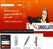 Realizzazione siti Internet - Molleonline