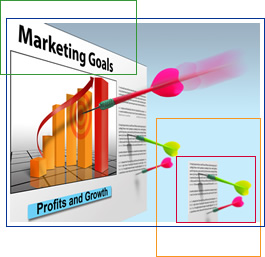 consulenze web ed internet marketing